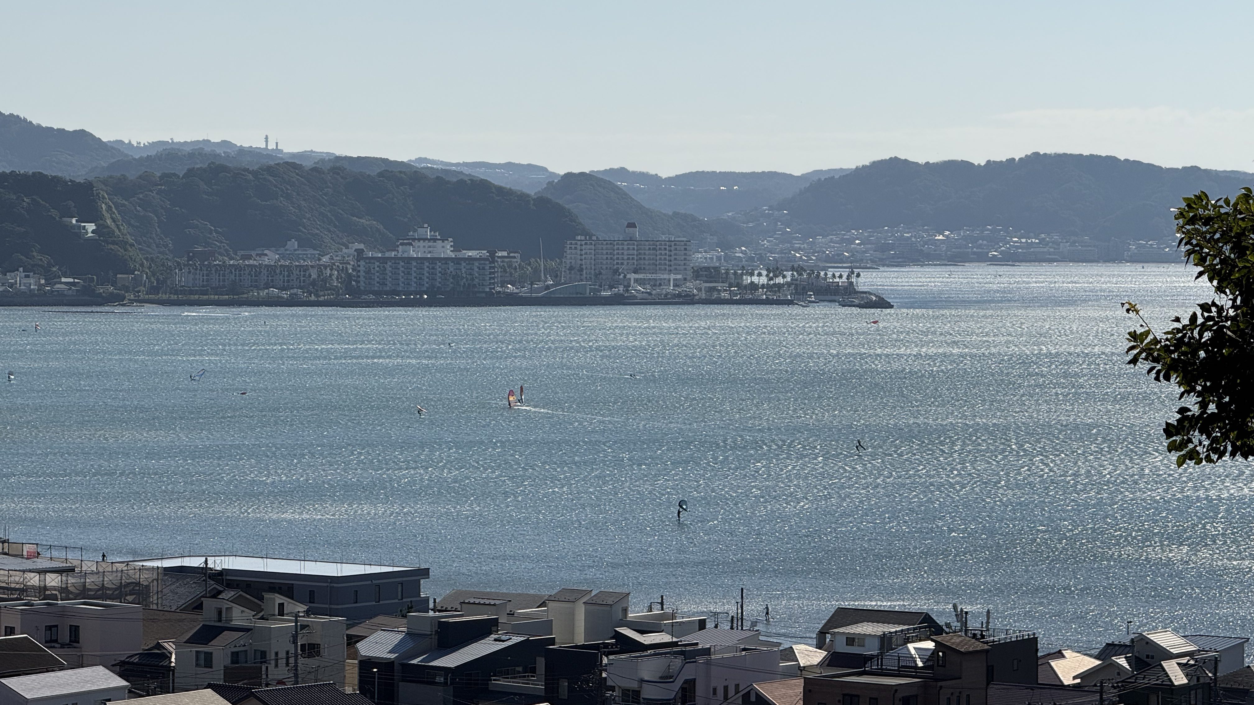 image from zmm 2024生日快乐